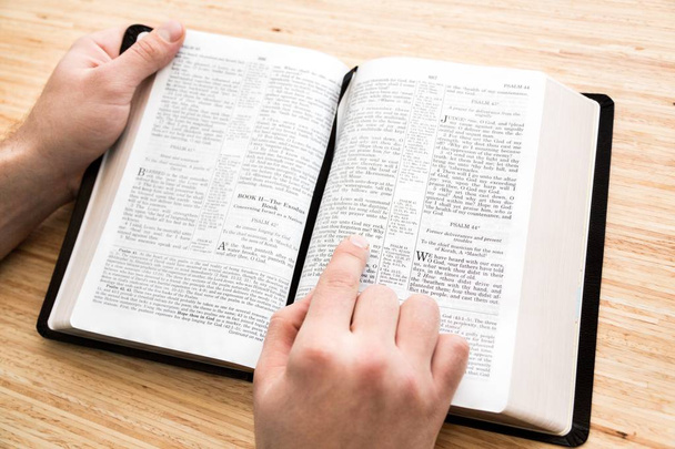 Person Reading Holy Bible - Fotografie, Obrázek
