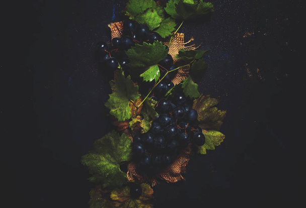 Blue wine grapes with vine, rustic style - Photo, Image