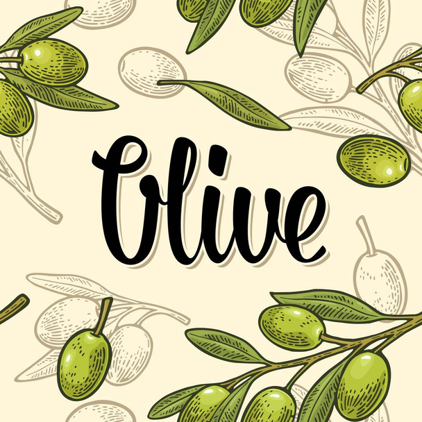 Seamless pattern olives on branch with leaves. Hand drawn design element. Vintage color vector engraving illustration for poster, menu, label, web. Isolated on beige background. - Vektör, Görsel