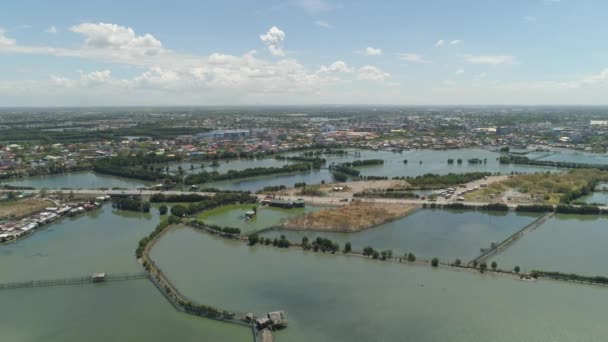 Town in cultivated mangroves, Ubagan, sto tomas. Fish farm with cages for fish and shrimp in the Philippines, Luzon. Aerial view of fish ponds for bangus, milkfish. Fish cage for tilapia, milkfish - Footage, Video