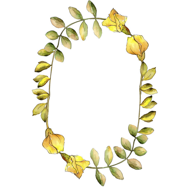 Watercolor yellow acacia leaf. Leaf plant botanical garden floral foliage. Frame border ornament square. Aquarelle leaf for background, texture, wrapper pattern, frame or border. - Φωτογραφία, εικόνα