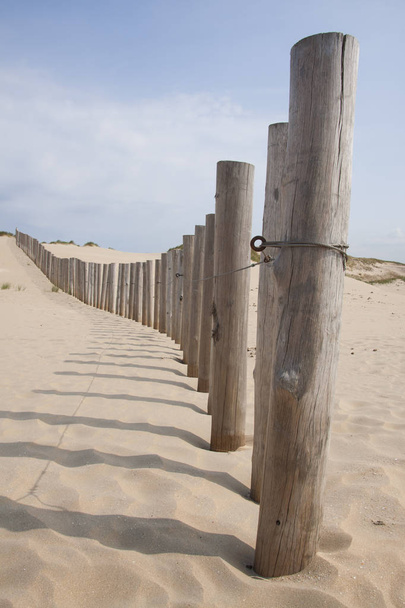 postes de madeira nas dunas perto de uma praia
 - Foto, Imagem
