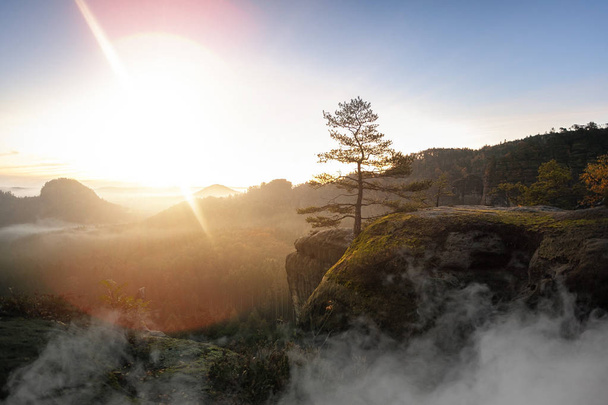 Meditación con luz suave en el Parque Nacional Alemán Sajón Suiza, cerca de Dresde. Senderismo y escalada en maravillosas cadenas montañosas de las montañas de arenisca del Elba
. - Foto, Imagen