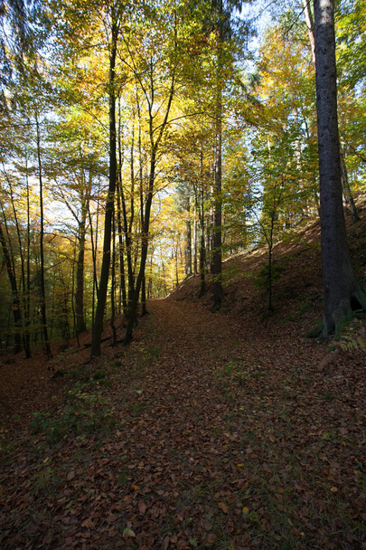 Csodálatos természet őszén a német szász Svájc Nemzeti Park területén. Hegység, a fény és a köd. Túrázás és hegymászás fáradalmait a Elba-homokkő-hegység gyönyörű hegyvonulatok. - Fotó, kép