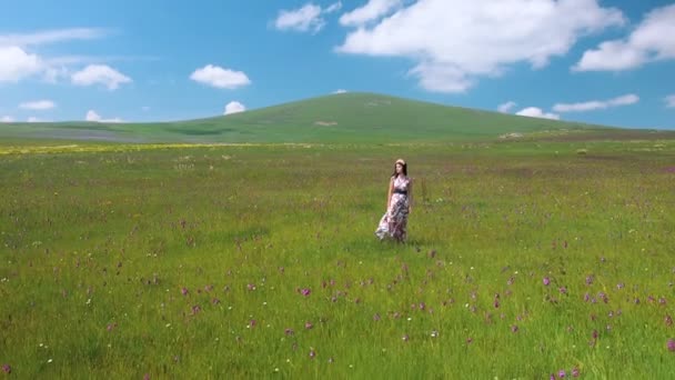 Jeune belle femme heureuse restant dans la prairie robe longue flottant sur le vent. Jolie fille souriante en couronne de fleurs profitant d'un paysage naturel. Mouvement Quadrocopter 25fps
. - Séquence, vidéo