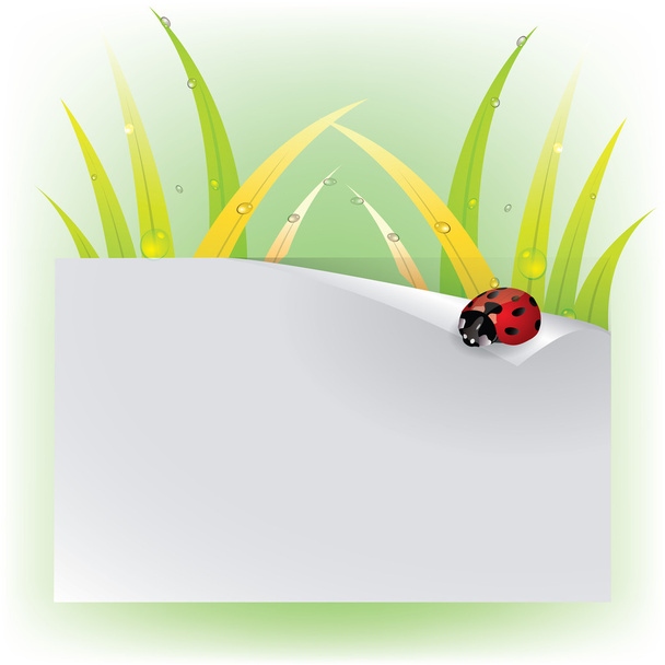 Vector Image ladybug on a leaf - Vetor, Imagem