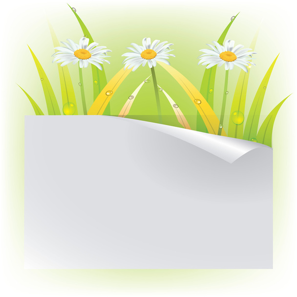 Beautiful card with flowers and butterflies - Vector, imagen