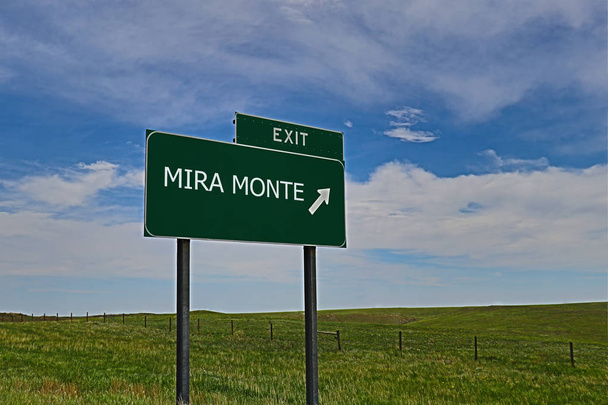 MIRA MONTE Green Board on the Sky Background - Фото, зображення