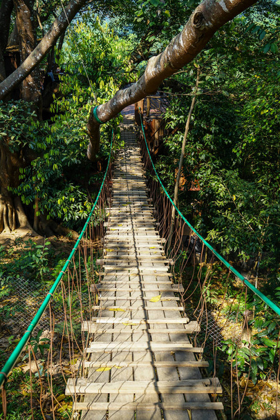 Висячий деревянный мост через большие ветви деревьев джунглей с канатной рельсы, листья деревьев и тени растений, Чиангмай, Таиланд
 - Фото, изображение