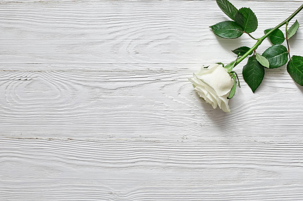 Rose on white wooden background. Place an inscription, text or message - Foto, afbeelding