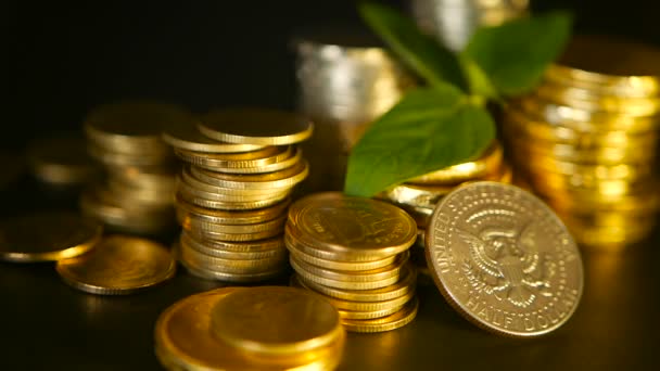 Золоті монети і зелений лист паростки на чорному тлі. Успіх фінансового бізнесу, іпотечних та банківських концепцій
 - Кадри, відео