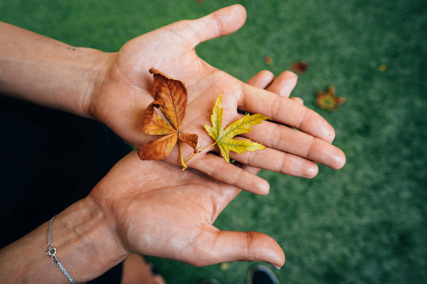 Žluté podzimní listí v dlani dívka. - Fotografie, Obrázek