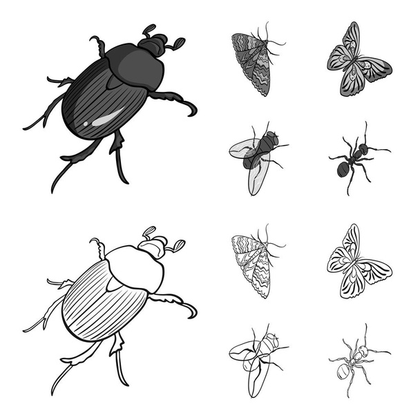 節足動物昆虫カブトムシ、蛾、蝶、飛ぶ。昆虫は、アウトライン、モノクロ スタイル ベクトル シンボル等尺性イラスト web でコレクション アイコンを設定します。. - ベクター画像