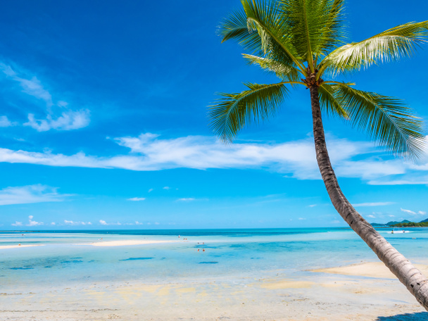 Belle plage tropicale et mer avec cocotier pour les voyages et les vacances
 - Photo, image