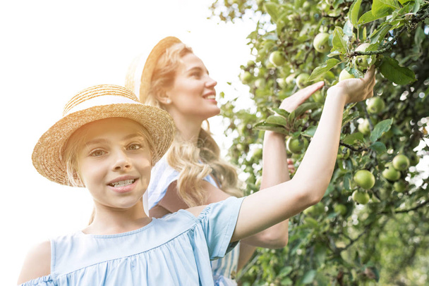 smiling mother and daughter picking apples in orchard with sunlight - Photo, Image