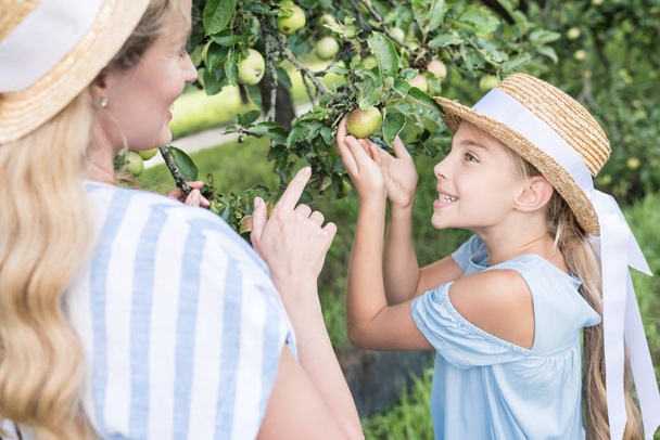blonde mother and daughter picking green apples in orchard - Photo, Image