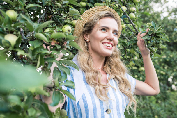 beautiful woman in straw hat posing near apple tree in garden - Photo, Image