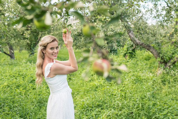 elegant woman in green garden with apple trees - Foto, imagen