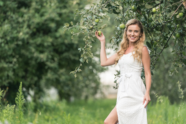 vrolijke aantrekkelijke vrouw in witte jurk poseren in appelboomgaard - Foto, afbeelding