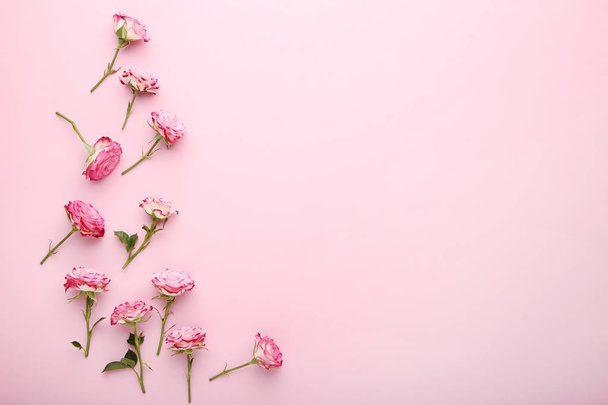 Beautiful rose flowers on pink background - Zdjęcie, obraz