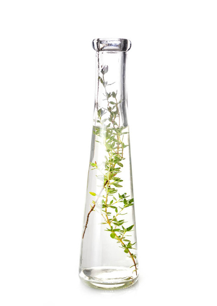 Pflanze im Reagenzglas vor weißem Hintergrund - Foto, Bild