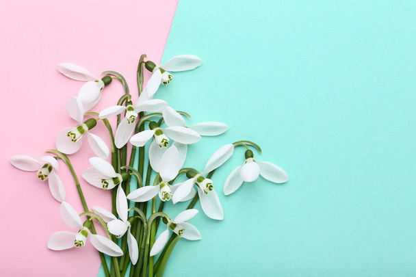 Kimppu lumikukkia kukkia värikkäällä taustalla
 - Valokuva, kuva