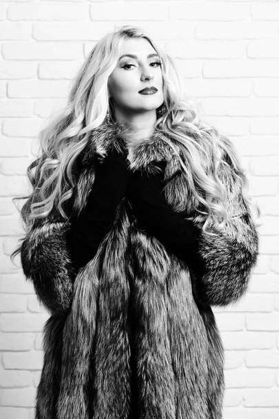 young fashionable sexy pretty rich woman with beautiful long curly blonde hair in waist coat of grey fur and black velvet gloves on brick wall studio background - Foto, immagini
