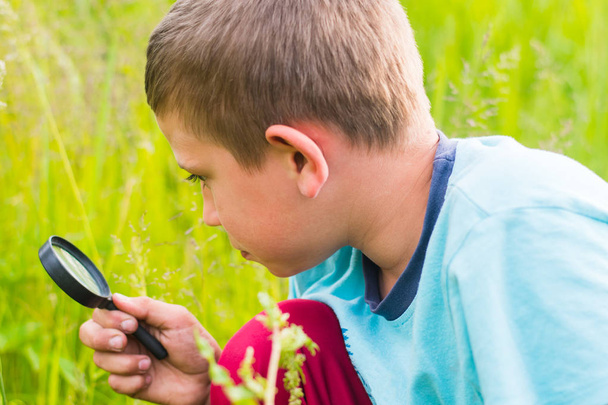 dospívající chlapec léčí rostliny přes zvětšovací sklo - Fotografie, Obrázek