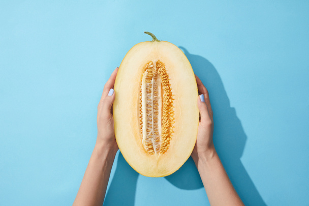 cropped shot of person holding half of fresh ripe melon on blue - 写真・画像
