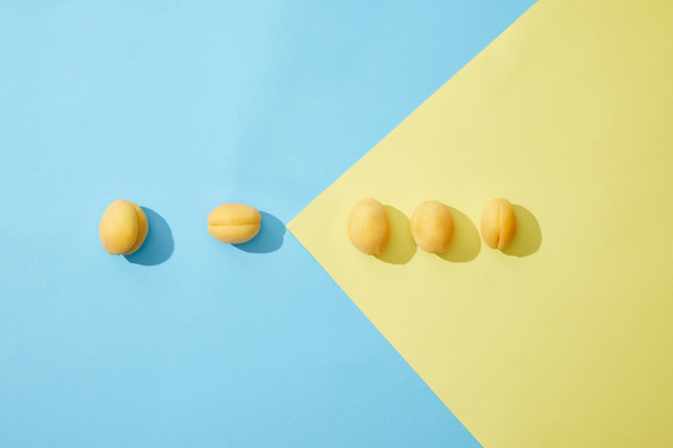 top view of fresh tasty apricots in row on blue and yellow background    - Foto, afbeelding