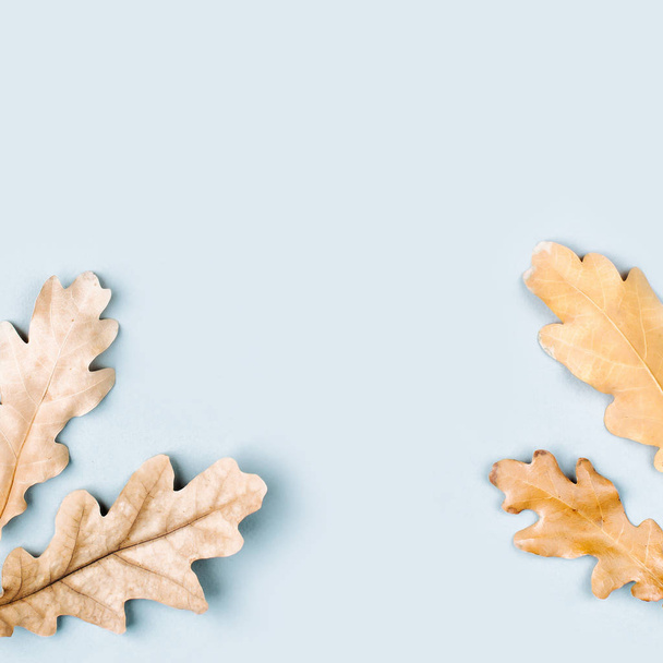 Autumn composition. Pattern made of autumn  leaves. - Φωτογραφία, εικόνα