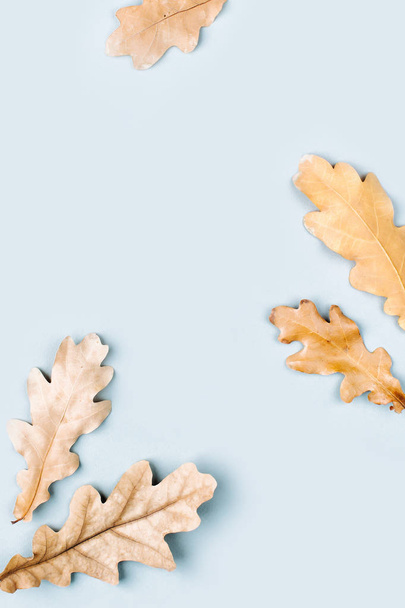 Autumn composition. Pattern made of autumn  leaves. - Fotó, kép