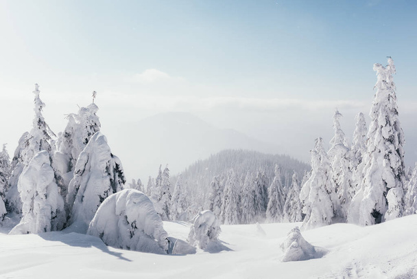 Fantastic winter landscape - Fotó, kép