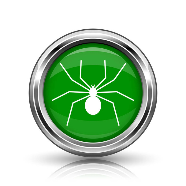 örümcek simgesi - Fotoğraf, Görsel