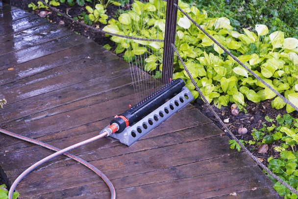 Irrigatore automatico da giardino irrigazione piante gialle in giardino su un sentiero di legno
. - Foto, immagini