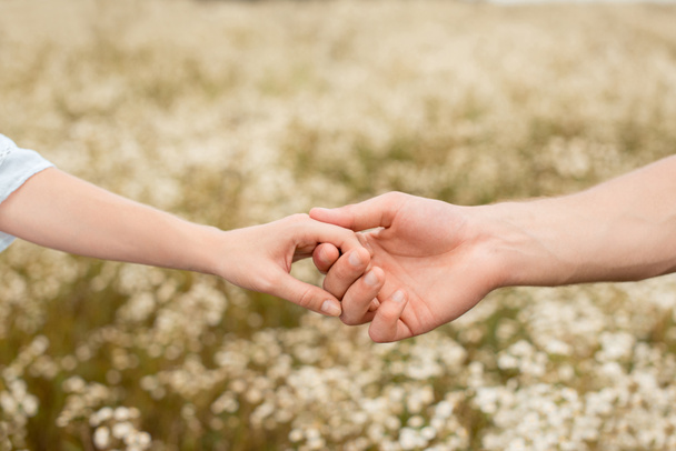 Částečný pohled na milence držící se za ruce s divokými květy na pozadí - Fotografie, Obrázek