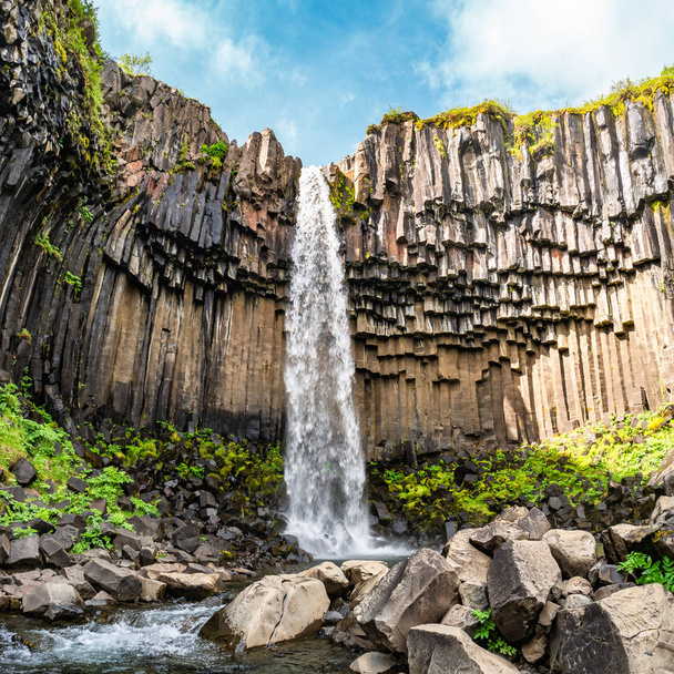 Прекрасный и высокий водопад Свартифосс с черными базальтовыми колоннами на юге Исландии, летнее время 2016
 - Фото, изображение