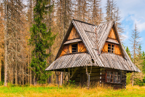 vecchia capanna di legno vicino alla foresta in una giornata estiva
 - Foto, immagini