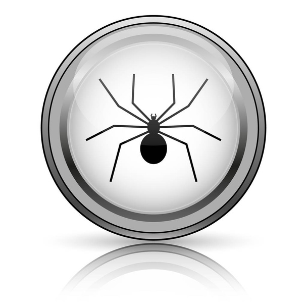 Spider icon - Photo, Image