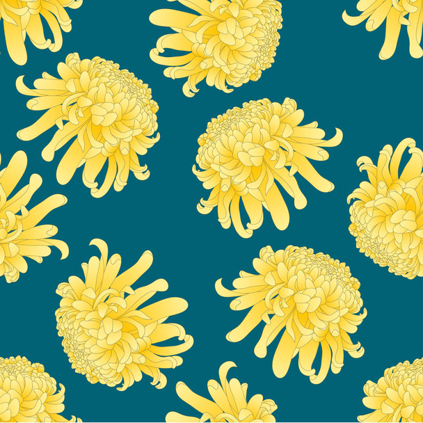 Crisantemo amarillo, Kiku flor japonesa sobre fondo azul índigo. Ilustración vectorial
. - Vector, Imagen