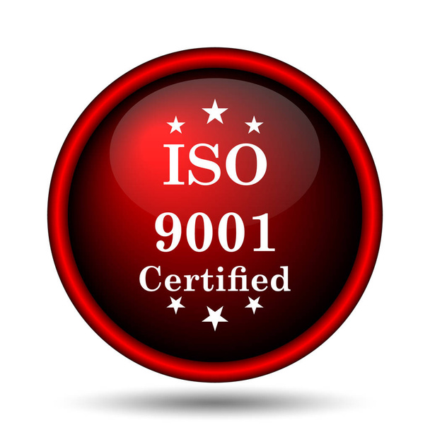 Icona ISO9001. Pulsante Internet su sfondo bianco
 - Foto, immagini