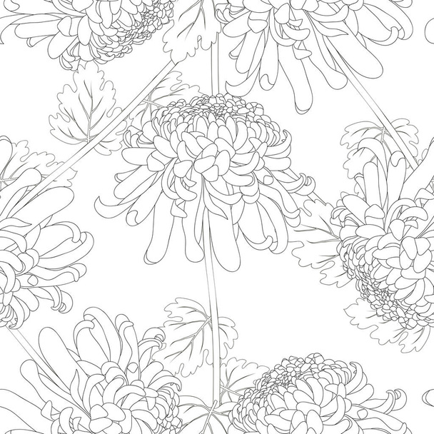 Chrysant omtrek, Kiku Japans Flower naadloze achtergrond. Vectorillustratie. - Vector, afbeelding