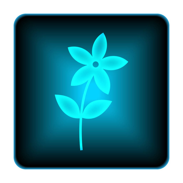 Virág ikon - Fotó, kép