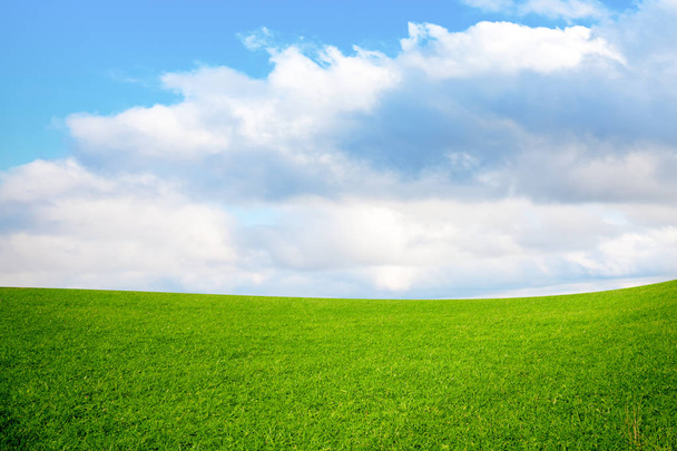 Green meadow and cloudy sky - Photo, Image
