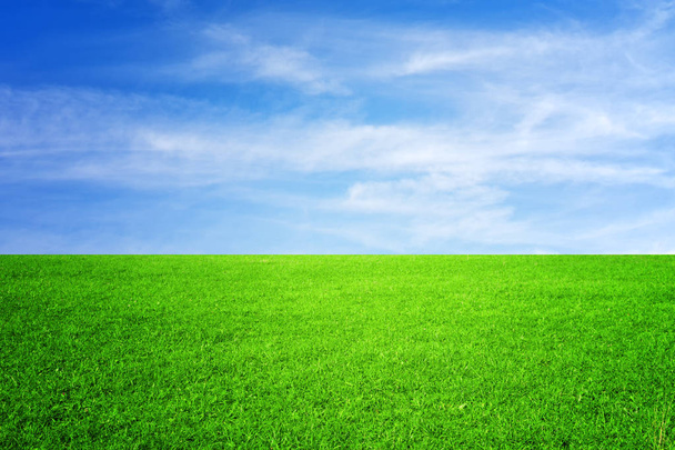 Green meadow and blue sky - Photo, Image