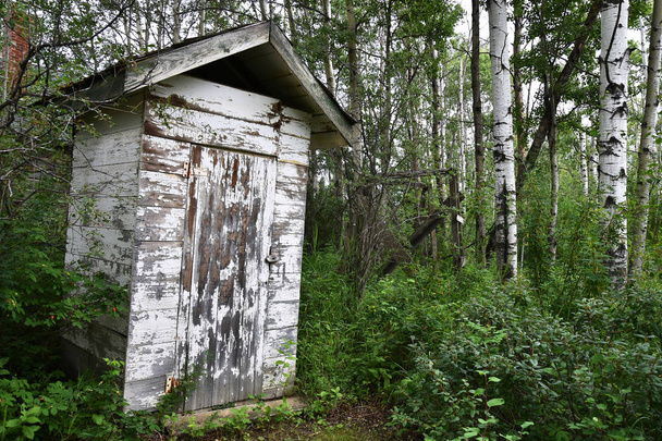 Bild einer längst vergessenen Außentoilette mitten im Wald.  - Foto, Bild