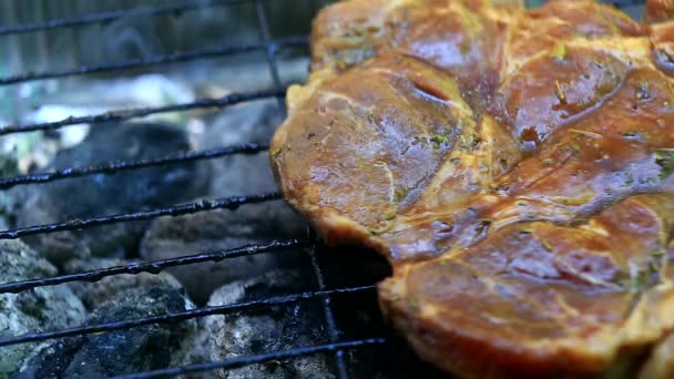 Prażenie świeżego mięsa na grilla zbliżenie - Materiał filmowy, wideo