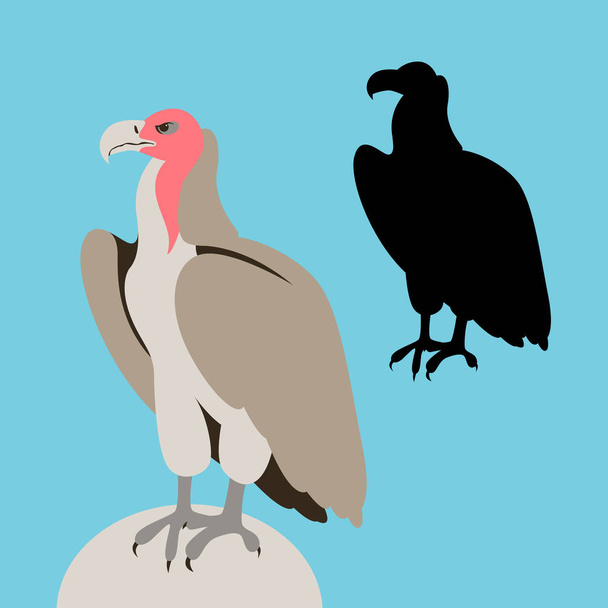 akbaba kuş vektör çizim düz stil siyah siluet  - Vektör, Görsel