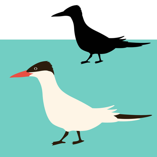 арктичний терновий птах Векторні ілюстрації плоский стиль чорний силует
  - Вектор, зображення