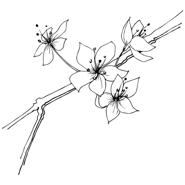 Wildflower sakura bloom flower in a vector style isolated. Full name of the plant:  Sakura bloom. Vector wildflower for background, texture, wrapper pattern, frame or border. - Vektor, obrázek